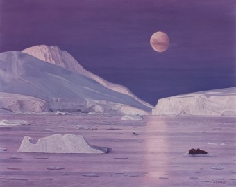 Arctic Moonlight • 24 x 28