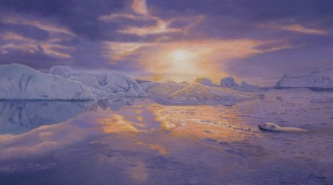 Arctic Dawn • 20 x 36