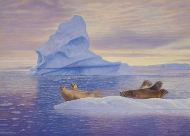 The Sea Lion Ice Kingdom • 20 x 28